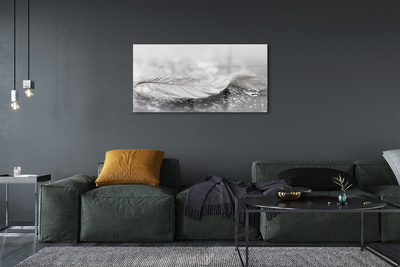 Quadro de vidro Macro de gotas de penas