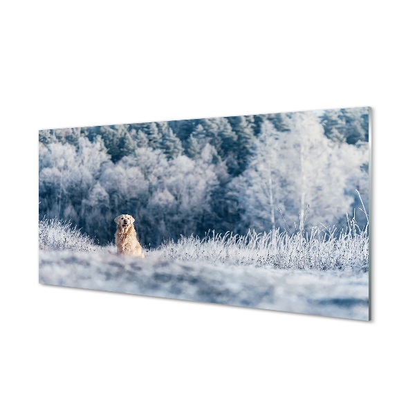 Quadro de vidro Dog Mountain Winter