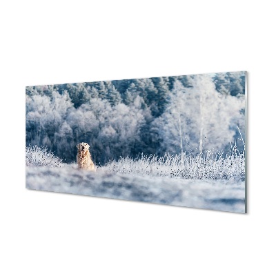 Quadro de vidro Dog Mountain Winter