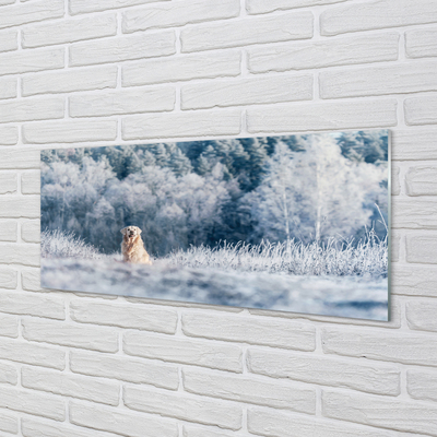 Quadro de vidro Dog Mountain Winter