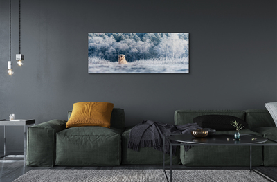 Quadro de vidro Dog Mountain Winter