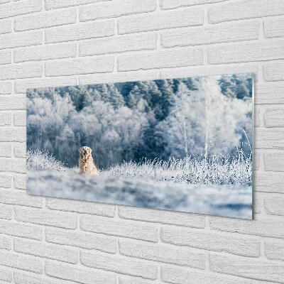 Quadro de vidro Dog Mountain Winter
