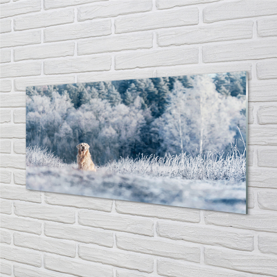 Quadro de vidro Dog Mountain Winter
