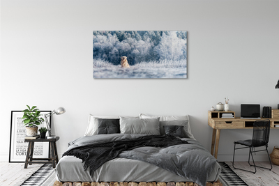 Quadro de vidro Dog Mountain Winter