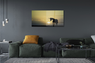 Quadro de vidro Campo Pôr do Sol Unicórnio