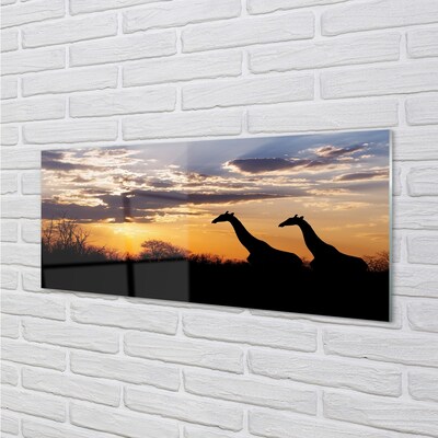 Quadro de vidro Girafas árvores nuvens