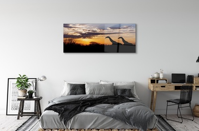 Quadro de vidro Girafas árvores nuvens