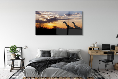 Quadro de vidro Girafas árvores nuvens