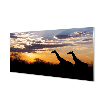 Quadro de vidro Girafas árvores nuvens
