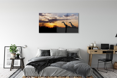 Quadro de vidro Girafas árvores nuvens