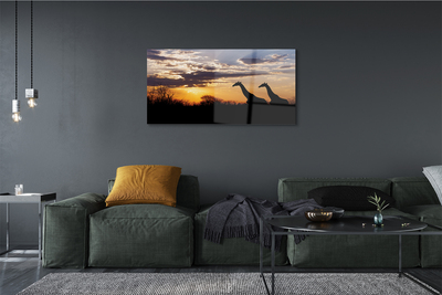 Quadro de vidro Girafas árvores nuvens