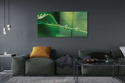 Quadro de vidro Gotas de grama macro
