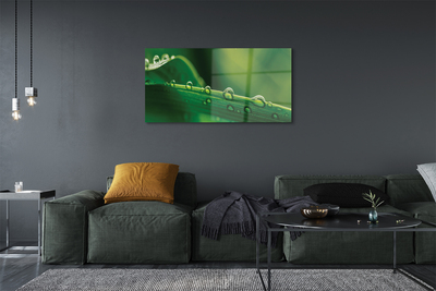 Quadro de vidro Gotas de grama macro