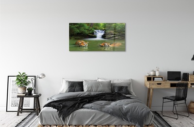 Quadro de vidro Cachoeira do Tigre