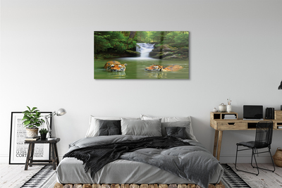 Quadro de vidro Cachoeira do Tigre