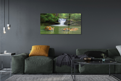 Quadro de vidro Cachoeira do Tigre