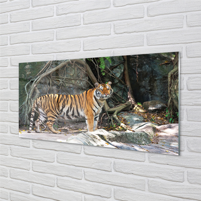 Pintura em vidro Tigre da selva