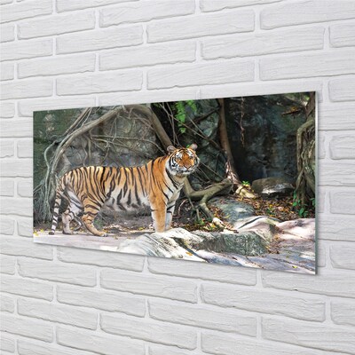 Pintura em vidro Tigre da selva