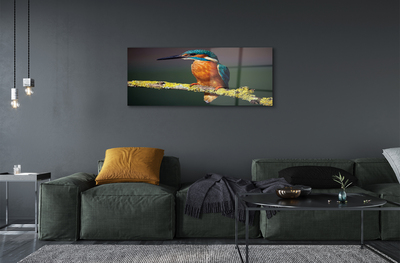 Quadro de vidro Um pássaro colorido em um galho