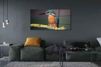 Quadro de vidro Um pássaro colorido em um galho