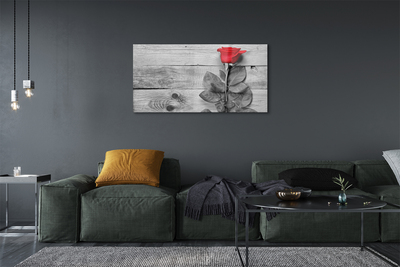 Quadro de vidro Rosa