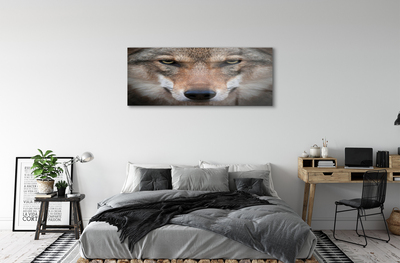 Pintura em vidro Olhos de lobo