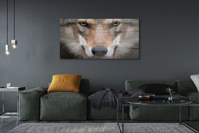 Pintura em vidro Olhos de lobo