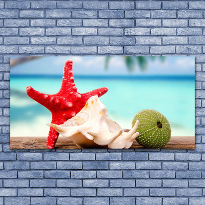 Pintura em vidro Arte em conchas e estrelas do mar