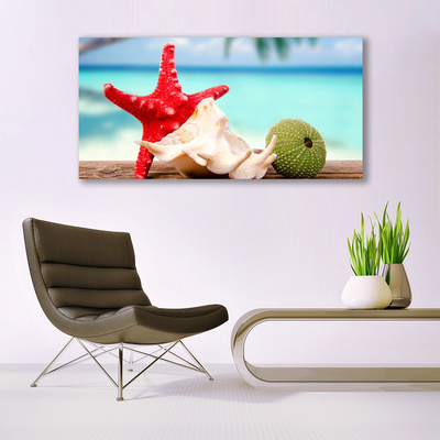 Pintura em vidro Arte em conchas e estrelas do mar