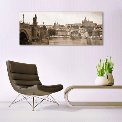 Quadro de vidro Paisagem da Ponte de Praga