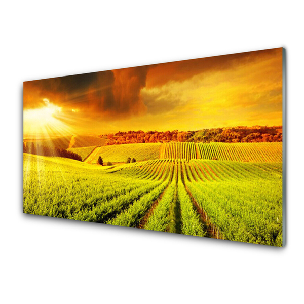 Quadro de vidro Paisagem do pôr do sol no campo