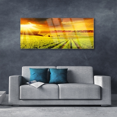 Quadro de vidro Paisagem do pôr do sol no campo
