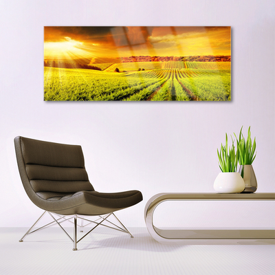 Quadro de vidro Paisagem do pôr do sol no campo
