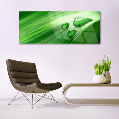 Quadro de vidro Gotas de água de folhas