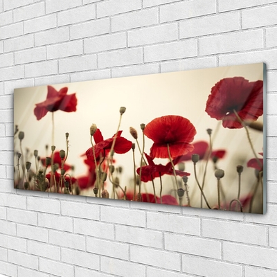 Quadro de vidro Flores de papoulas