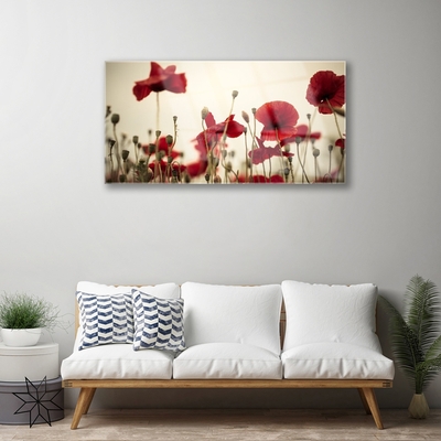Quadro de vidro Flores de papoulas