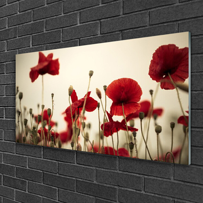 Quadro de vidro Flores de papoulas