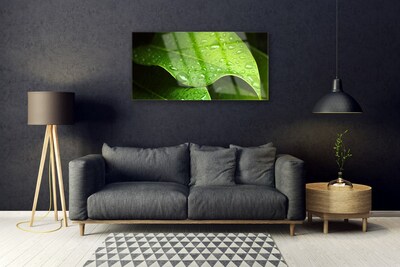 Pintura em vidro Gotas de Orvalho Folha