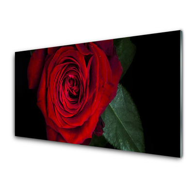 Quadro de vidro Rosa na Parede