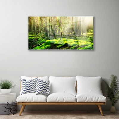 Pintura em vidro Natureza da Floresta de Musgos