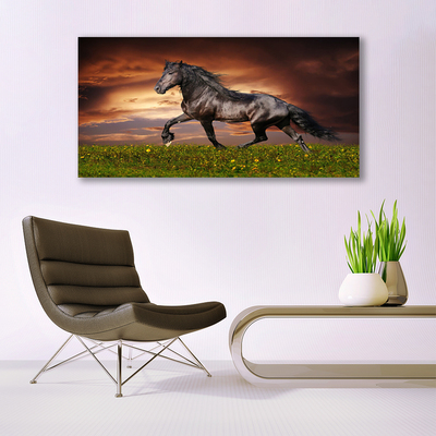 Quadro de vidro Animais do Prado do Cavalo Preto