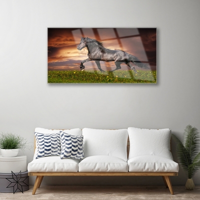 Quadro de vidro Animais do Prado do Cavalo Preto