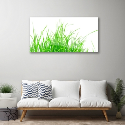 Quadro de vidro Planta de grama