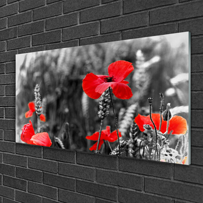 Quadro de vidro Papoulas na Parede