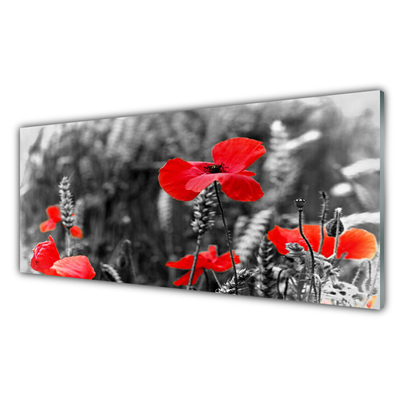 Quadro de vidro Papoulas na Parede