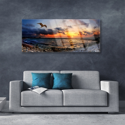 Quadro de vidro Paisagem de praia de mar de gaivota
