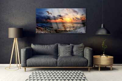 Quadro de vidro Paisagem de praia de mar de gaivota