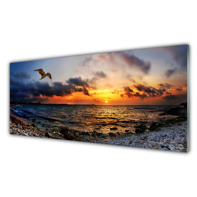 Quadro de vidro Paisagem de praia de mar de gaivota