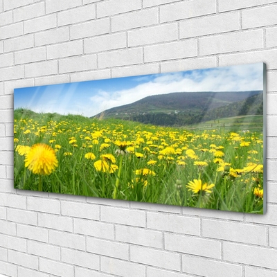 Quadro de vidro Natureza do dente-de-leão