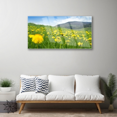 Quadro de vidro Natureza do dente-de-leão